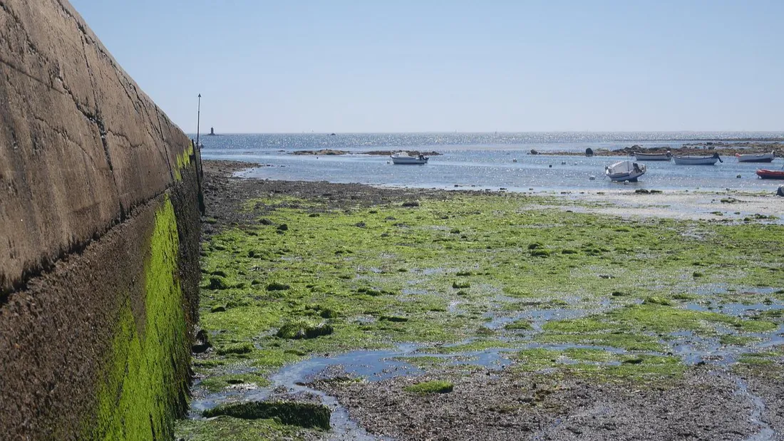 Eau et rivières de Bretagne attaque l’Etat en justice.