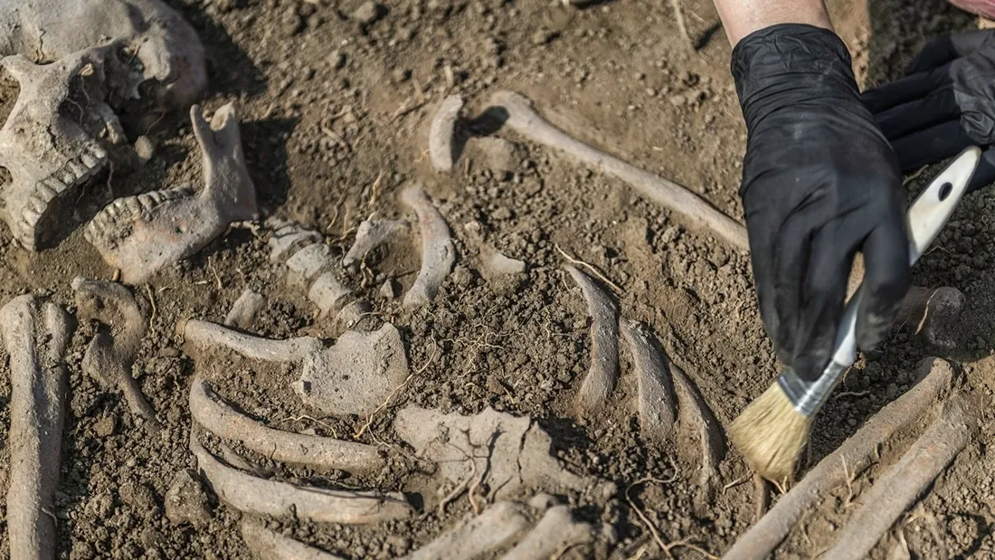 Loire-Atlantique : 87 sépultures découvertes lors de fouilles archéologiques