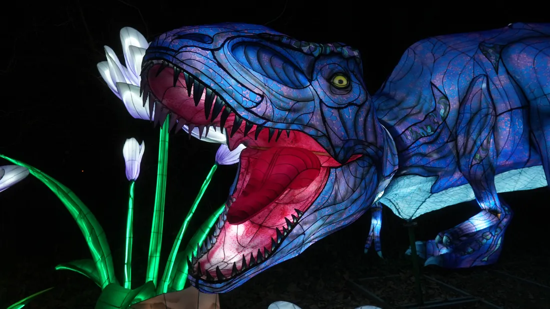 Il s'agit de la 2e édition des Animaux de Lumière à Pont-Scorff (56).