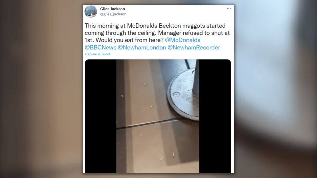 Des asticots découverts dans un McDonald's