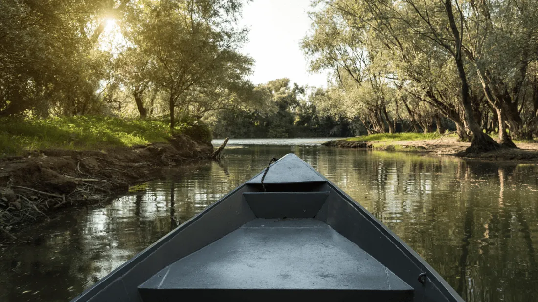 barque sur un marais