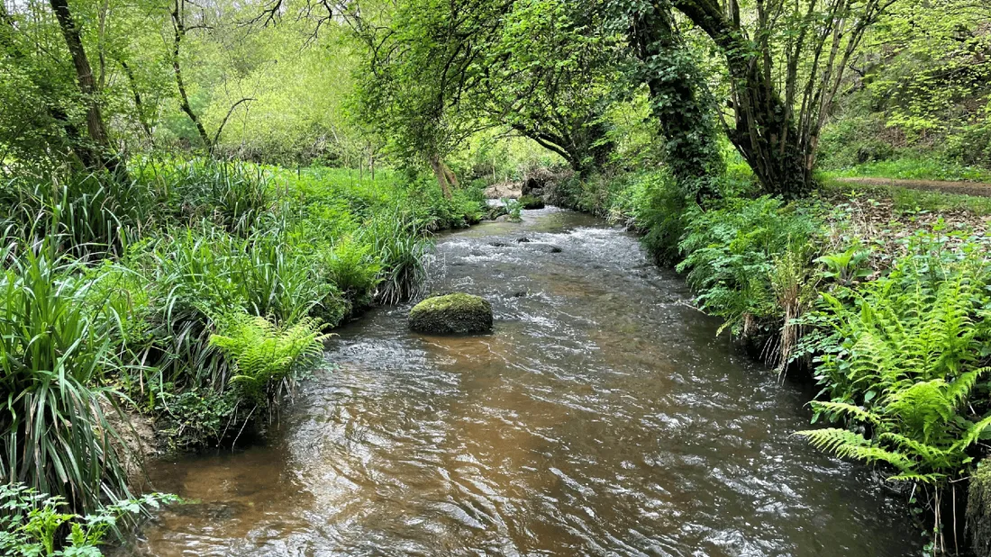 "Mission Nature" permettra de cofinancer 21 projets cette année