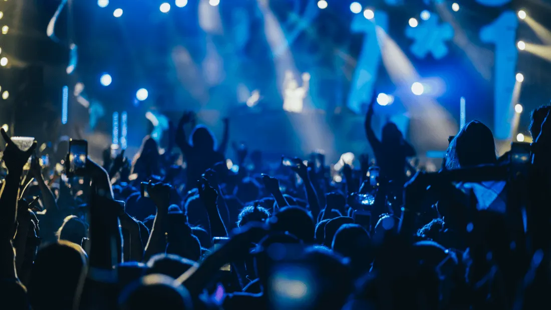 Foule dans un concert