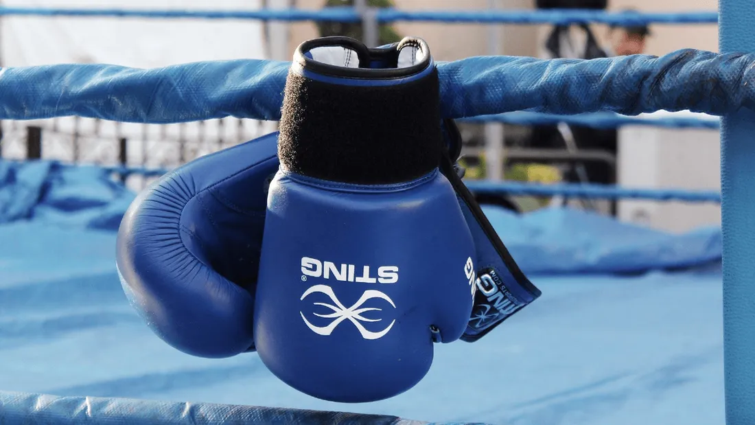 Gants de boxe
