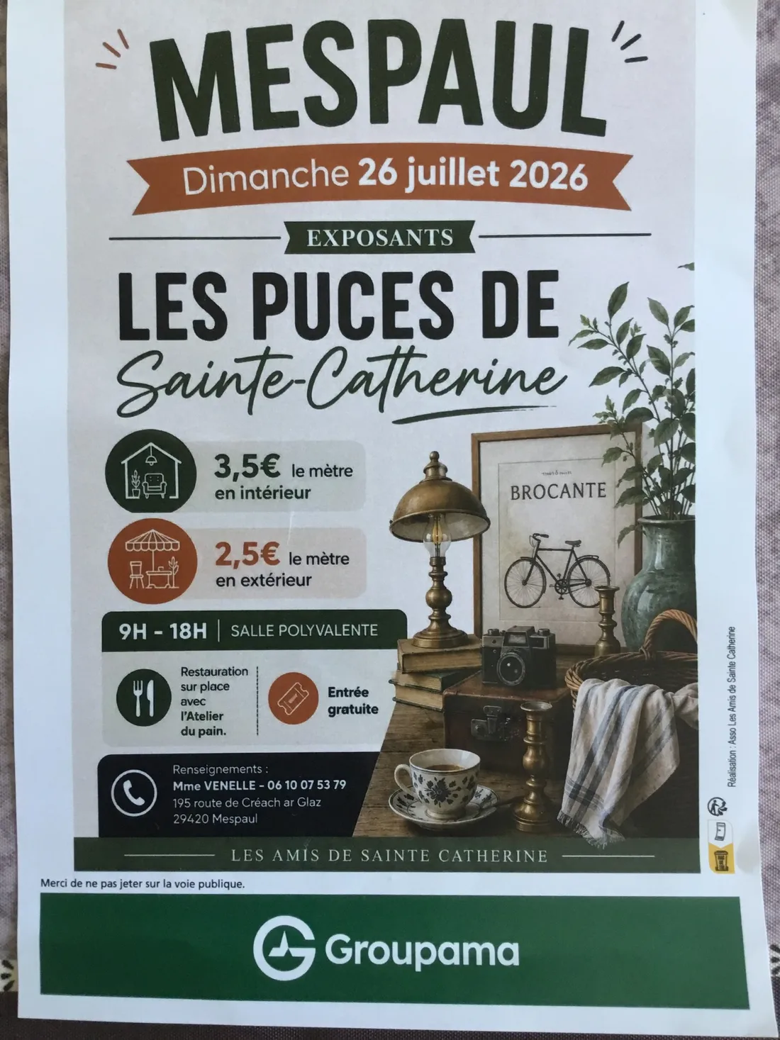 Les puces de Sainte-Catherine