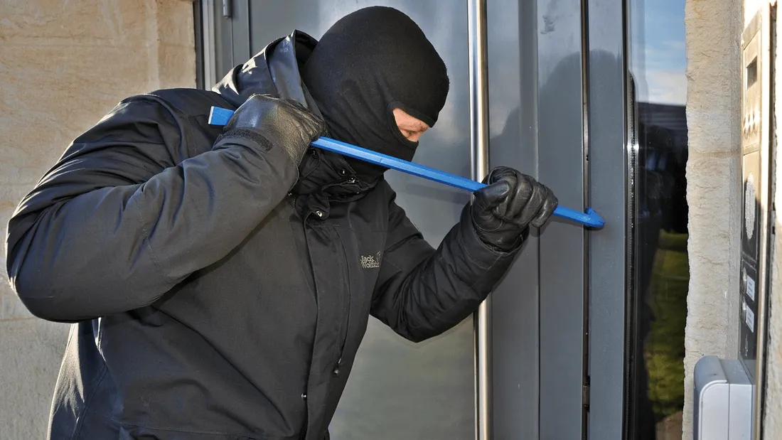 Un cambrioleur retrouvé grâce à un collier pour chat connecté