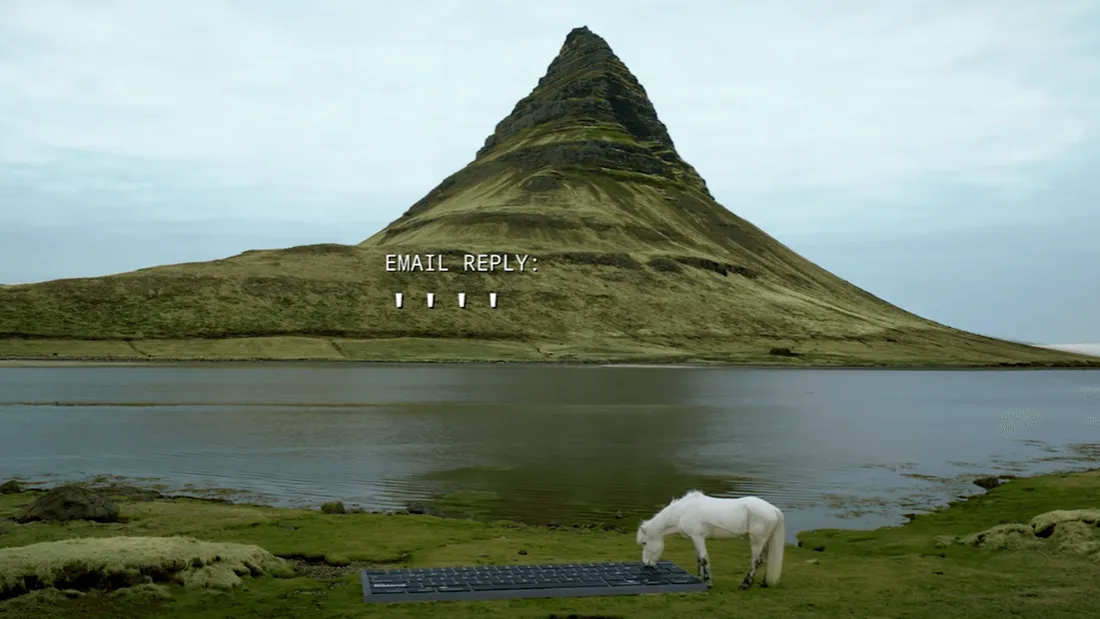 Durant vos vacances, des chevaux se chargent de vos mails 