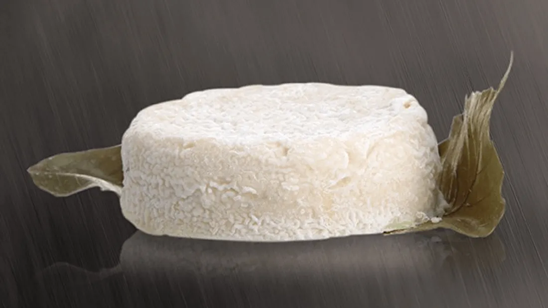 Rappel de chèvres produits en Deux-Sèvres