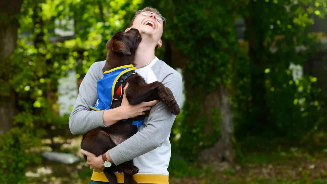 Handi'Chiens est à la recherche d'une dizaine de familles d'accueil en Bretagne.