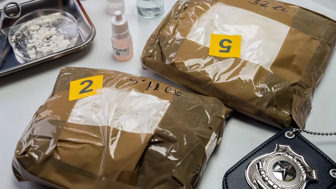Plusieurs tonnes de drogue étaient envoyées chaque mois