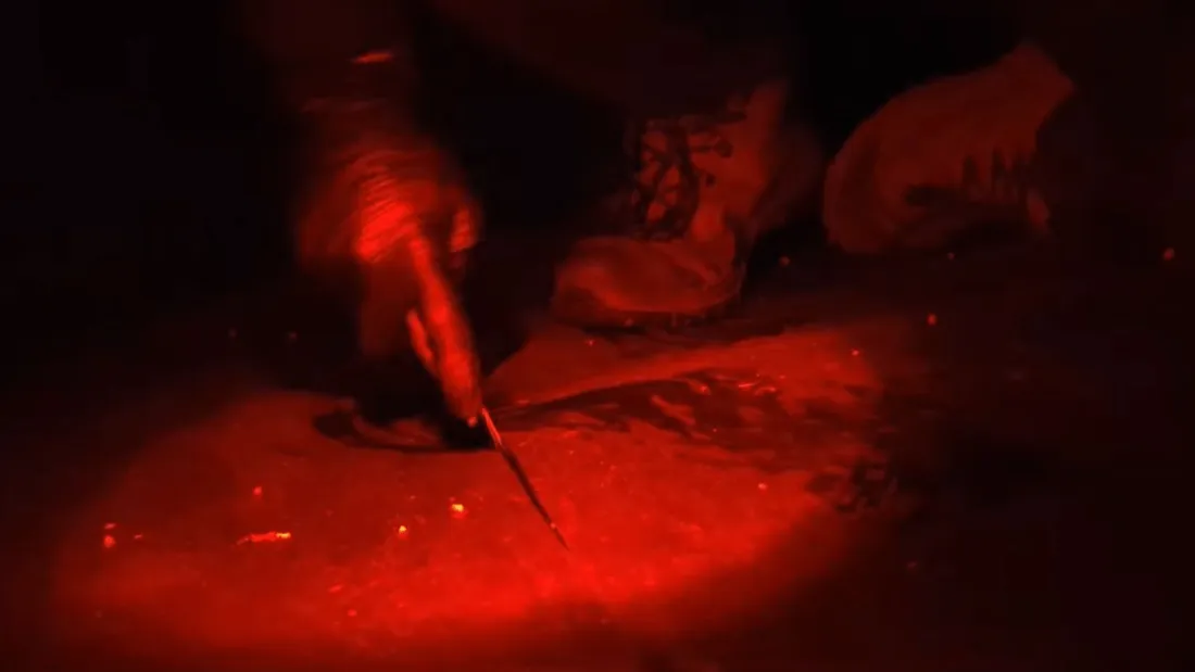 Cutter vandalisme bassine