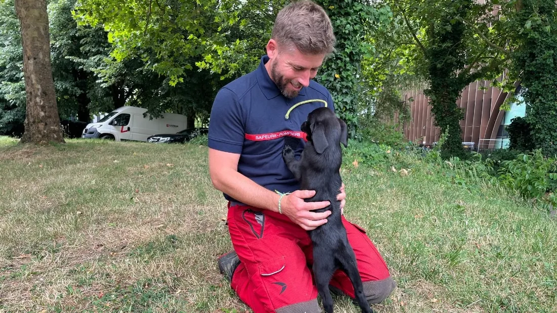 Florian et Alma de l'équipe cynotechnique de Loire-Atlantique