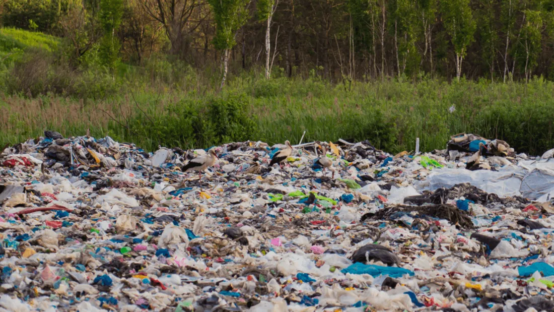 Déchets dans la nature