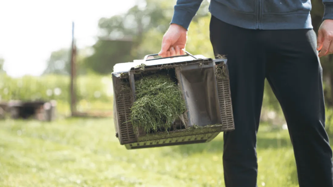 Déchets verts pelouse