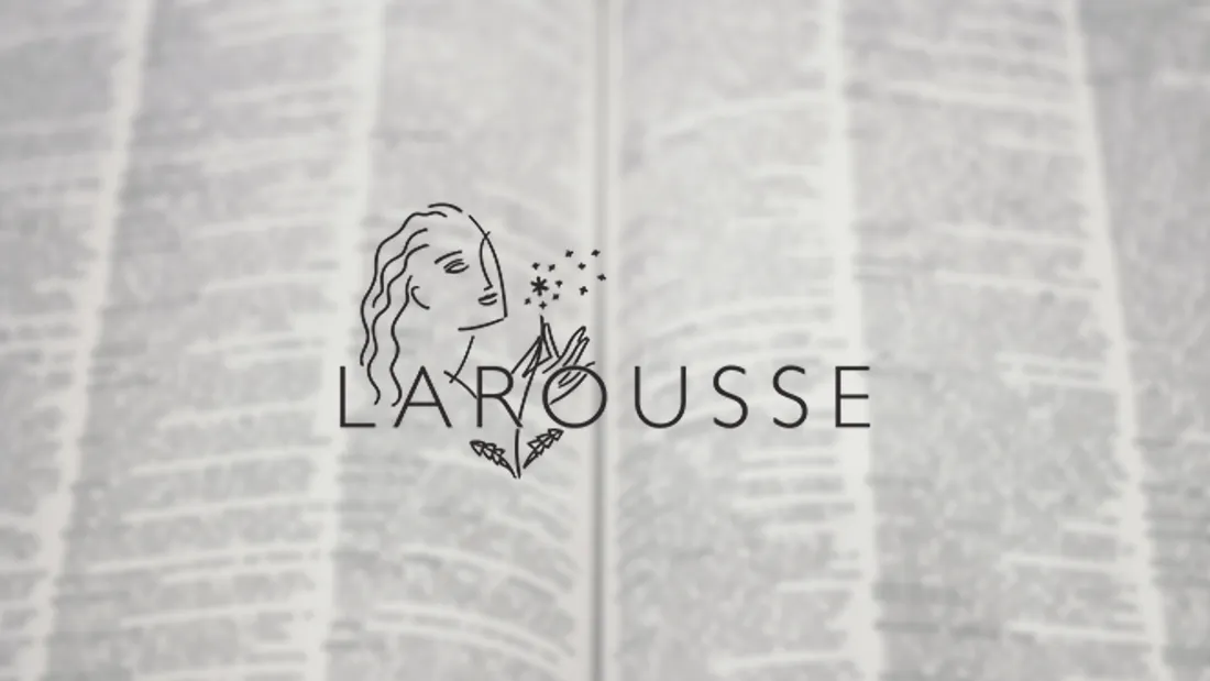 Wokisme, NFT, grossophobie... Le Larousse dévoile ses nouveaux mots !