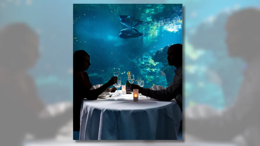 Seuls 70 privilégiés pourront dîner au milieu des poissons et requins.