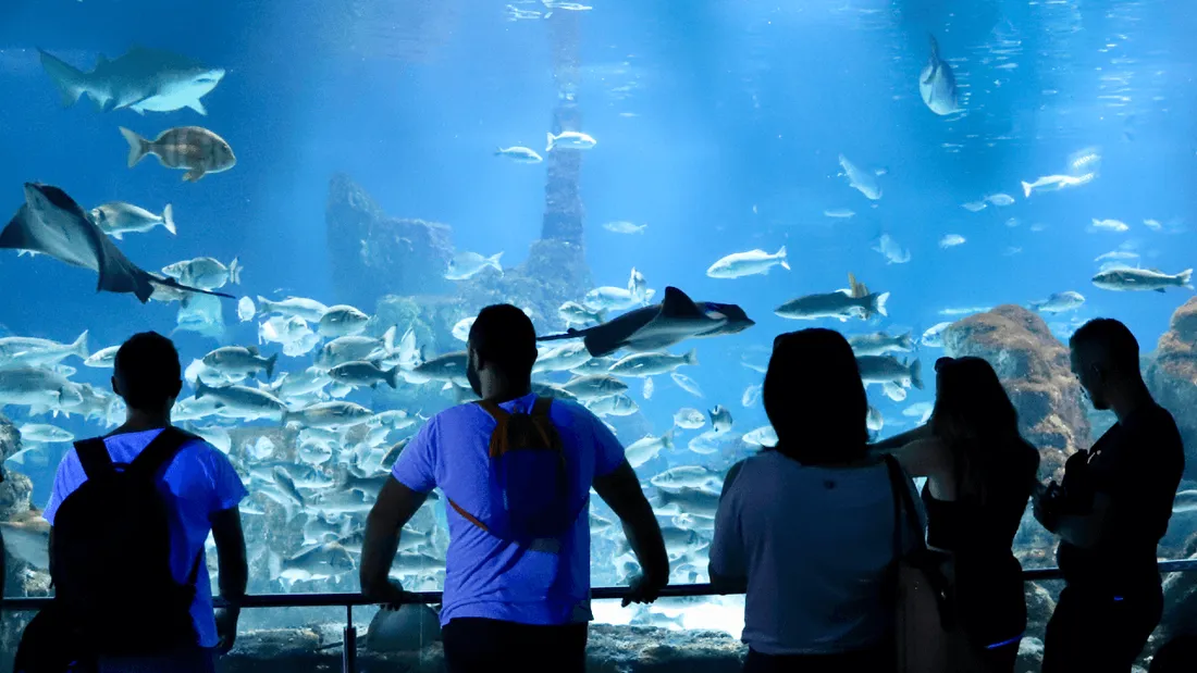 Berlin : un aquarium explose dans un hôtel