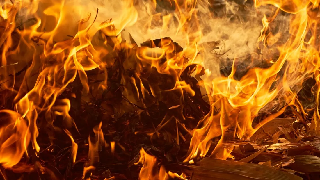 Illustration d'un feu de végétation