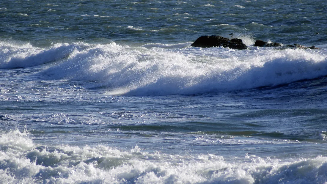 Fillette de 11 ans portée disparue en Gironde - un corps retrouvé