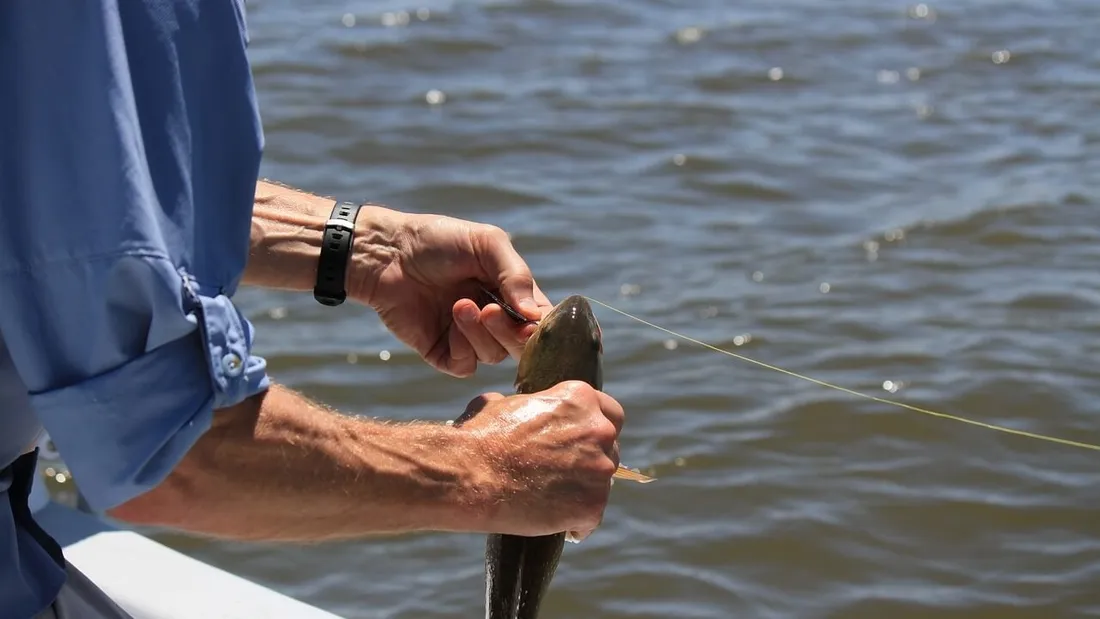 pêche a la truite du goujon teiphalien