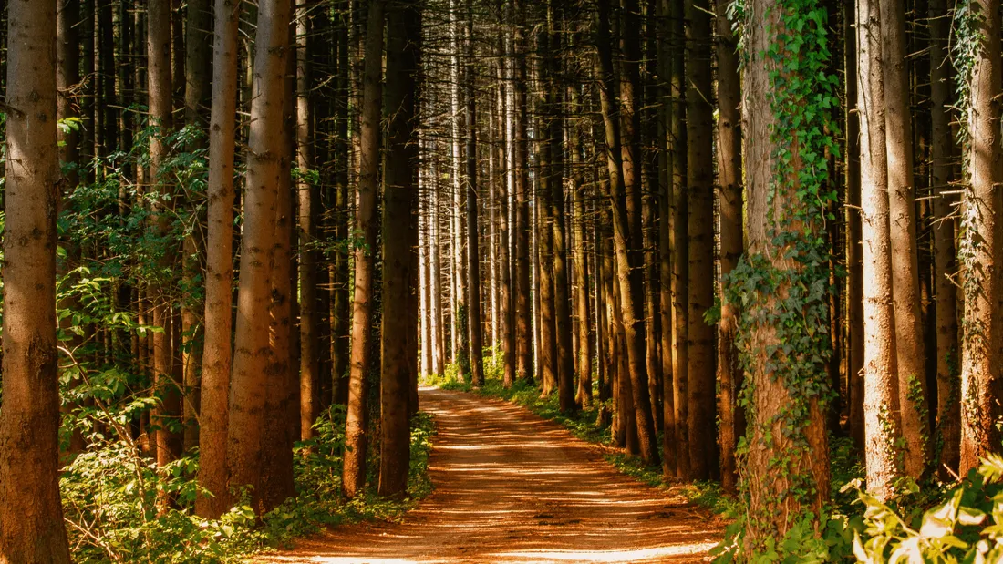 Turquie : un homme participe à ses propres recherches