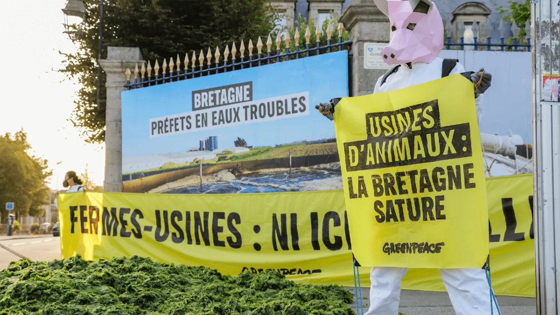 Une tonne d’algues vertes déversées devant la Préfecture du Finistère
