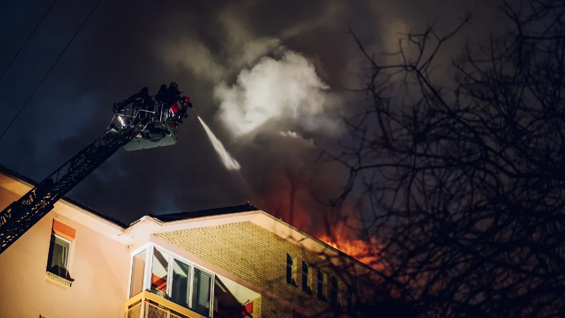 Illustration - Envato DR