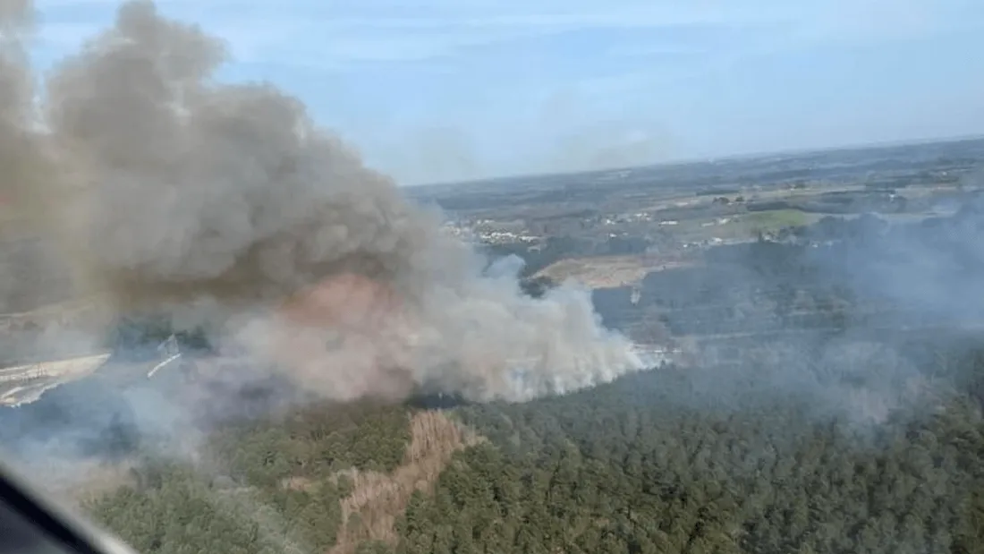 Feux de forêt en Charente-Maritime : la gendarmerie lance un appel à témoins