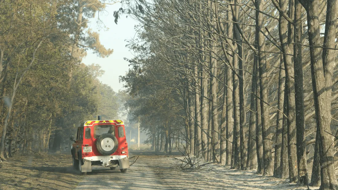 Les pompiers mobilisés sur les feux de forêts