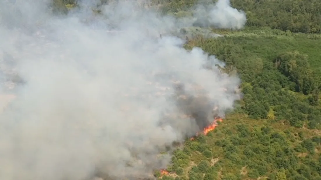 Incendie forêt