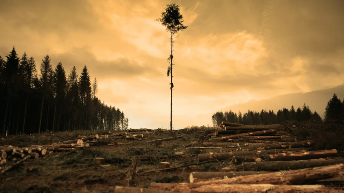 Le Jour du dépassement 2022 est arrivé