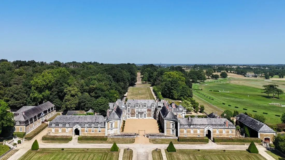 Denniel Immobilier