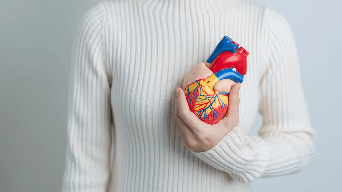 Maladies cardiovasculaires