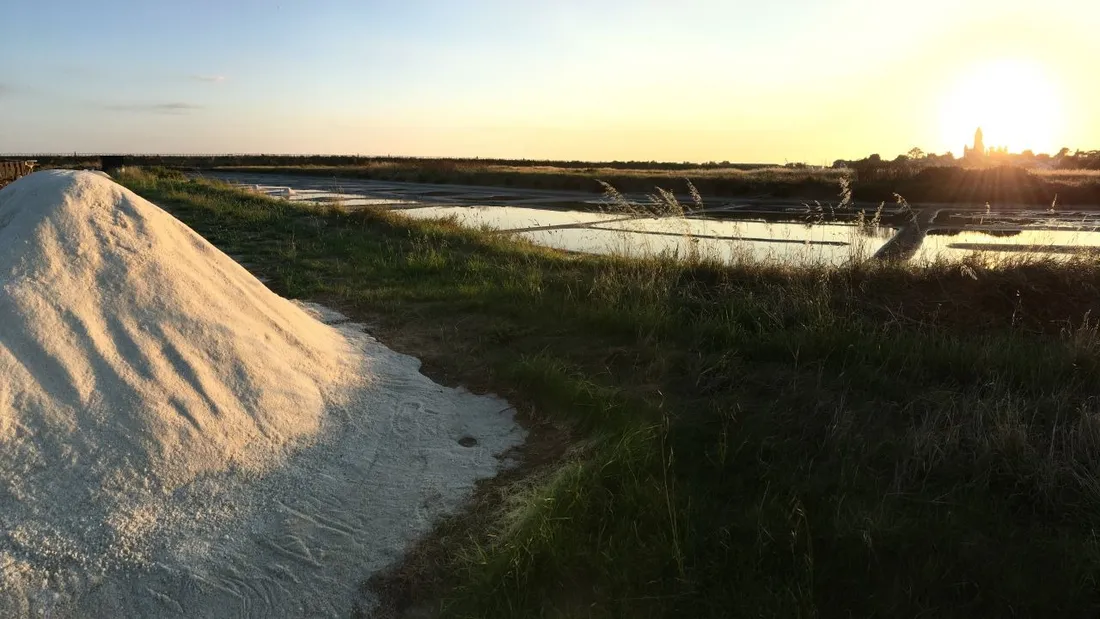 Les marais salant de Noirmoutier