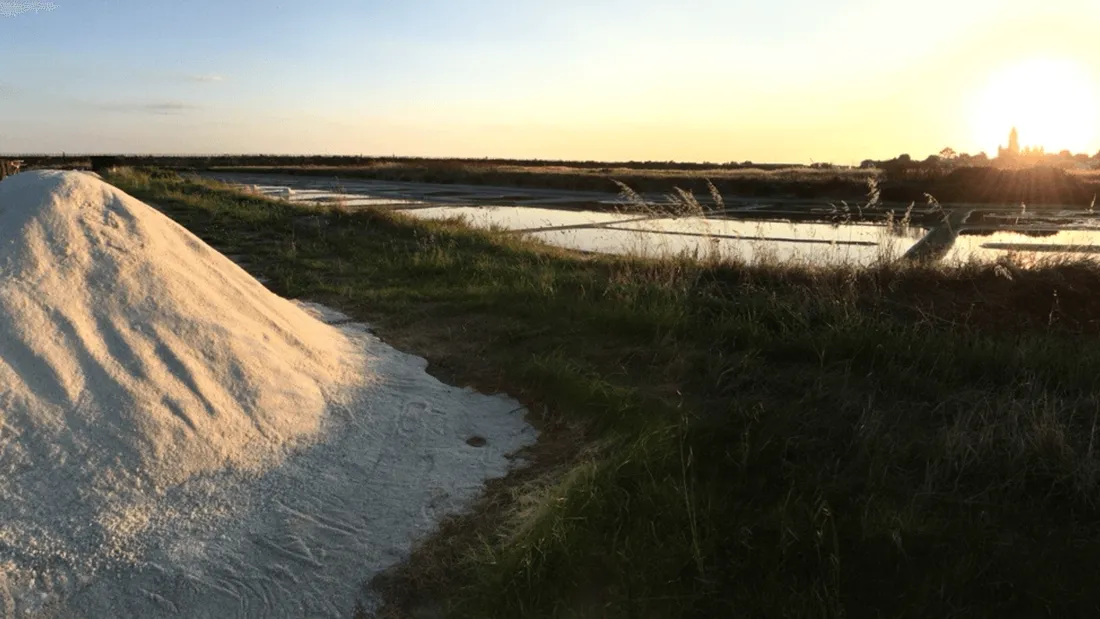 Marais salants Noirmoutier