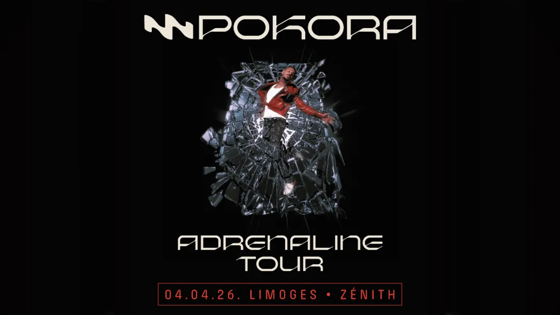 Matt Pokora concert Limoges