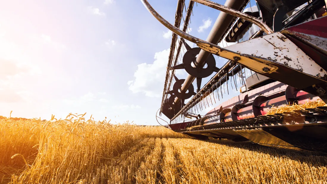 Moissonneuse-batteuse