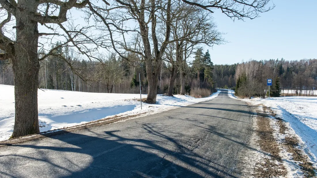 Des flocons sont tombés dans de nombreux départements de l'Ouest ce jeudi 25 décembre 