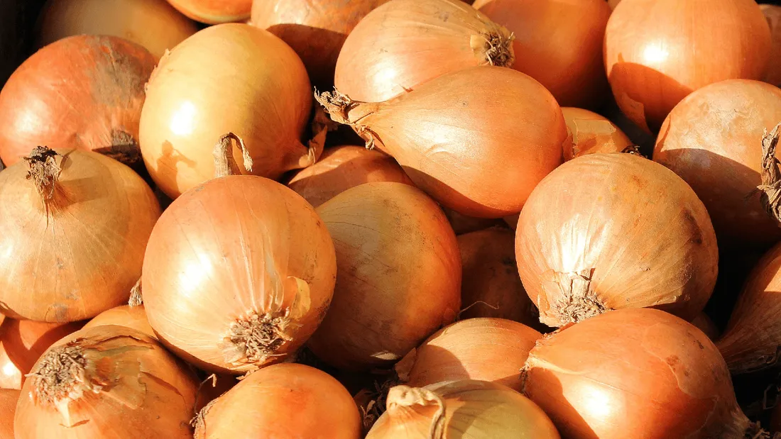 États-Unis : ils tentent de dissimuler de la drogue au milieu d'oignons, sans succès