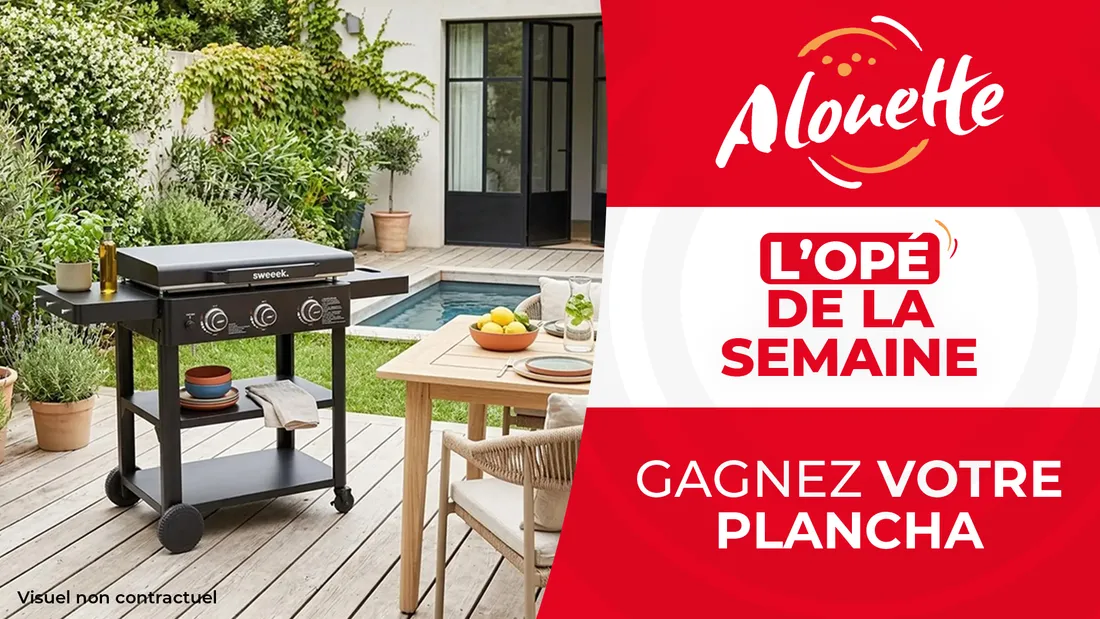 plancha haut de gamme