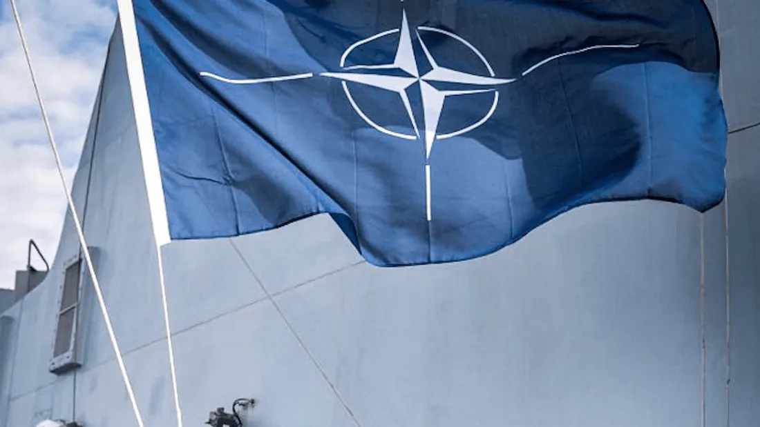 Otan : la Finlande et la Suède ont soumis leurs demandes d'adhésion