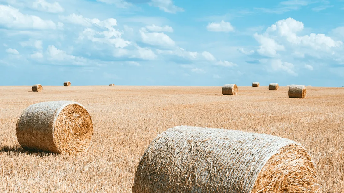 L'homme était en train de bronzer nu dans un coin isolé 