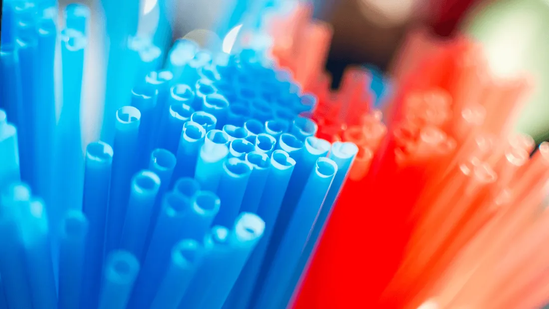 Paille plastique distributeur