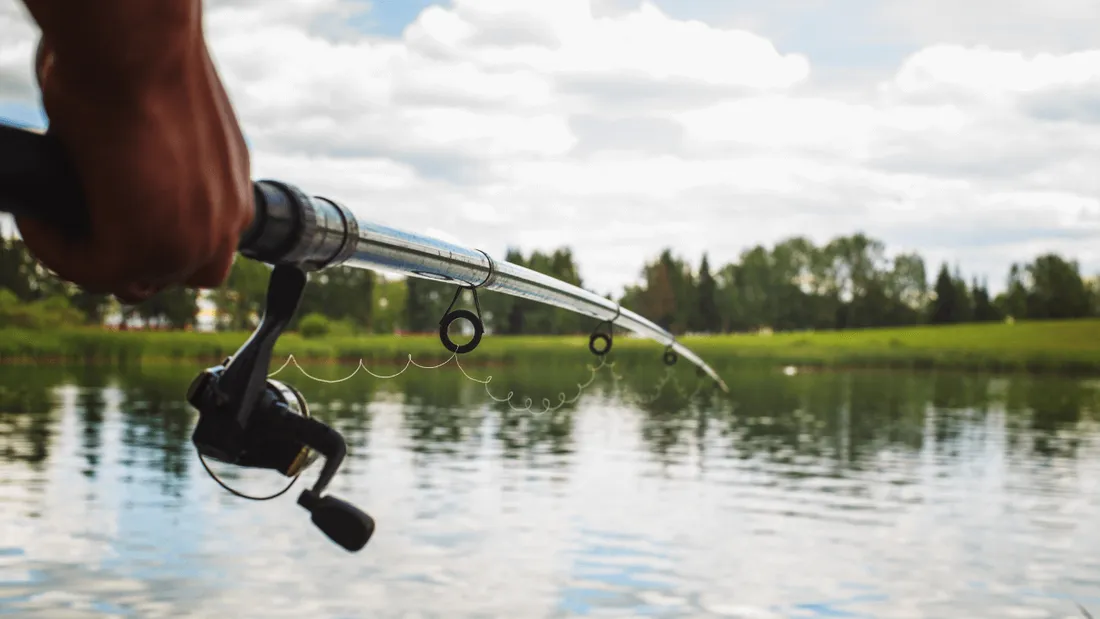 La pêche interdite dans le Ligneau et la Sèvre nantaise jusqu’au 3 mai inclus