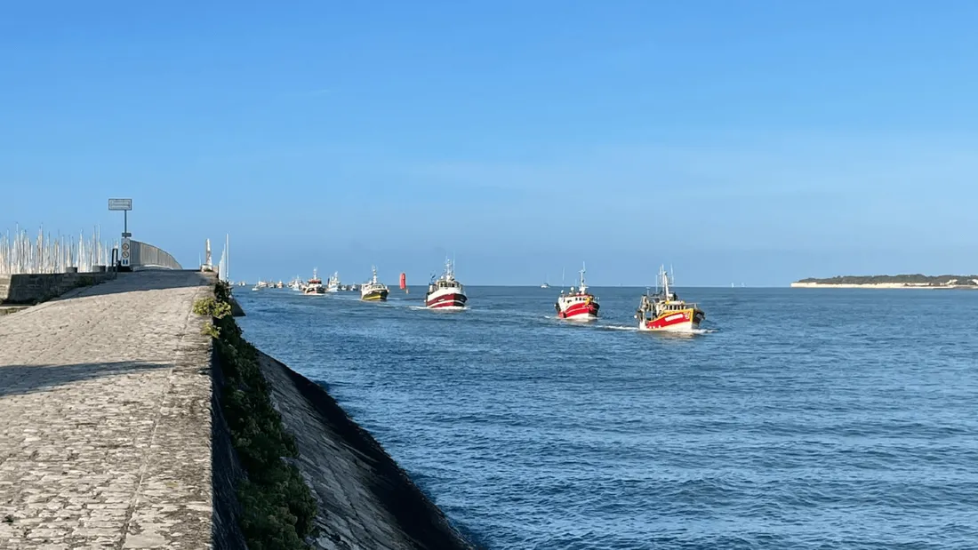 Les bateaux de pêche lors de leur arrivée dans le Vieux Port, aux alentours de 9h30.