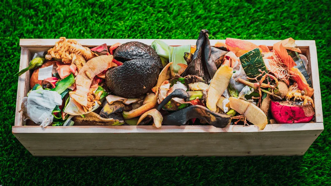 Recyclage : le plastique, y compris biodégradable, déconseillé dans les composteurs