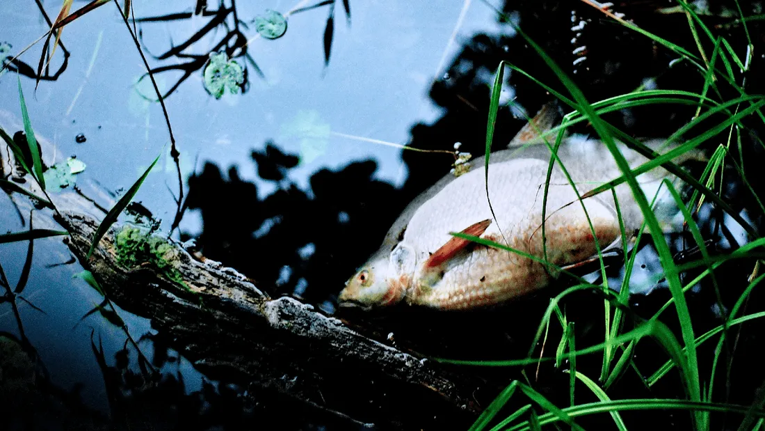 Pollution méthaniseur