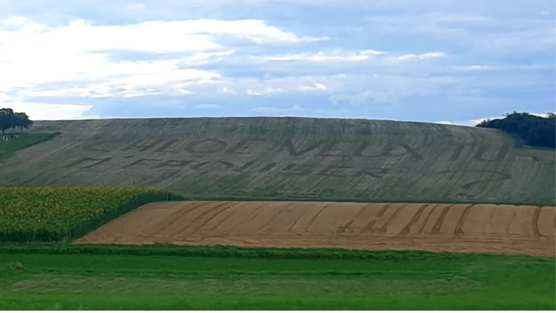 Demande en mariage en lettres géantes dans un champ