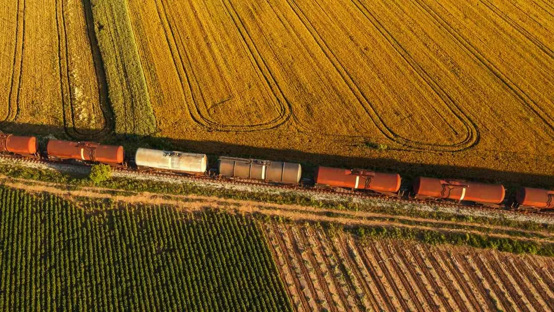 Ces sept militants écologistes ont bloqué et vidé un train transportant du blé en 2022.