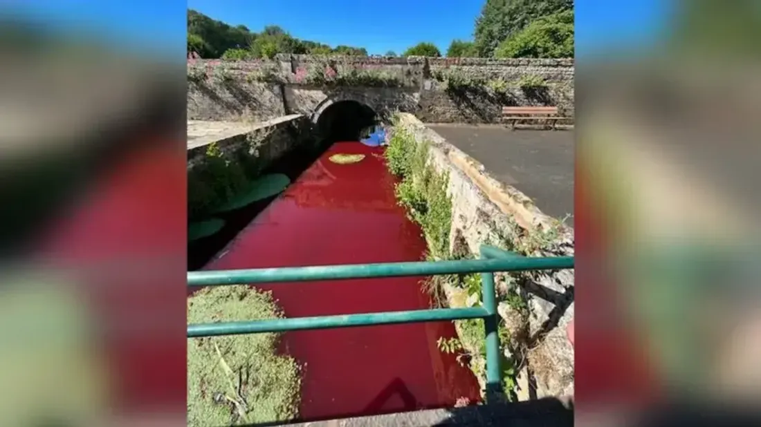 Deux-Sèvres : une rivière rouge de sang